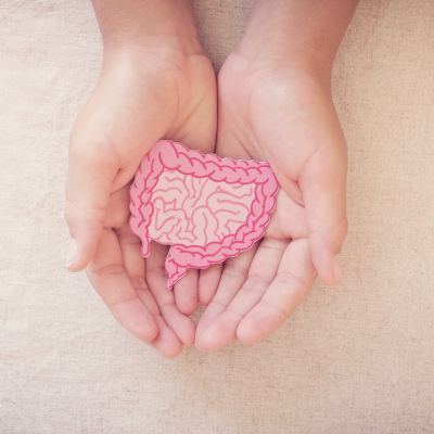 Gut Health in Menopause – Why It Matters More Than Ever